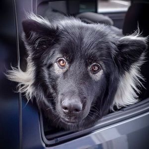 Meet your Posher, Zach